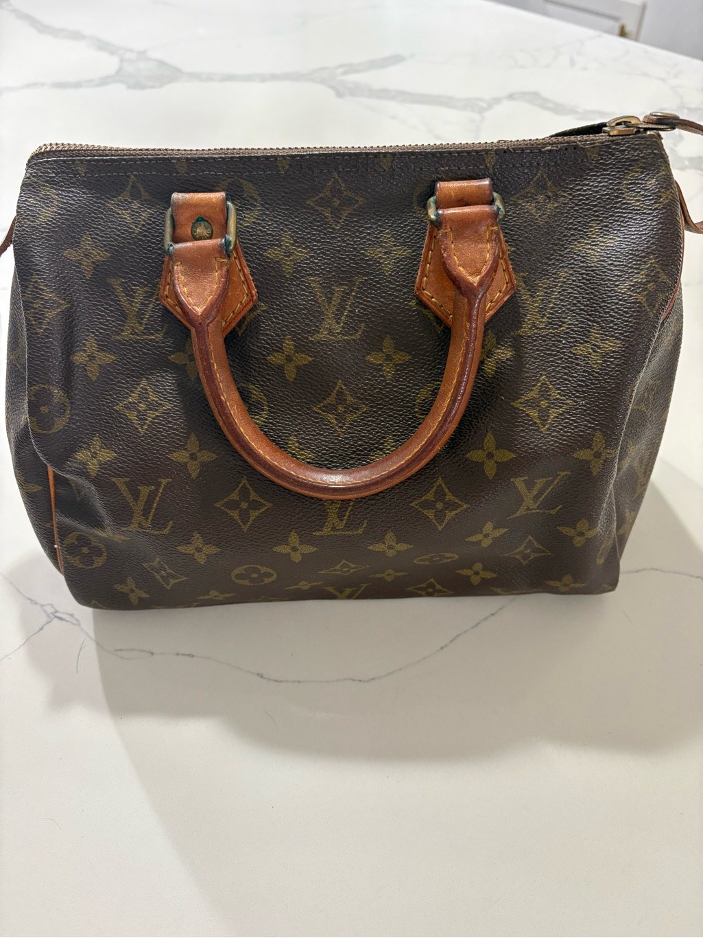 Louis Vuitton Brown Monogram Mini Speedy Top Handle Bag